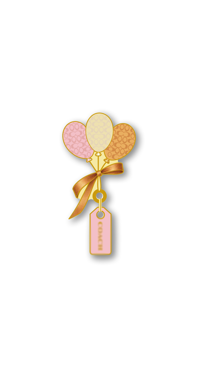 Balloon Magnetic Pin