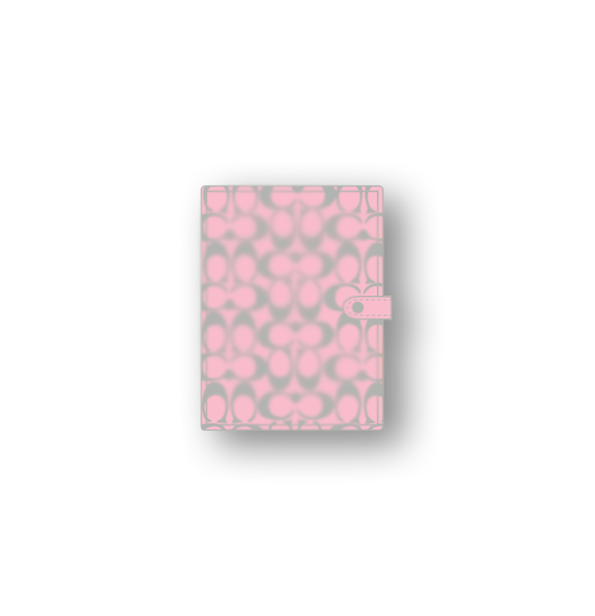 Planner Magnetic Pins (Available in different colors)