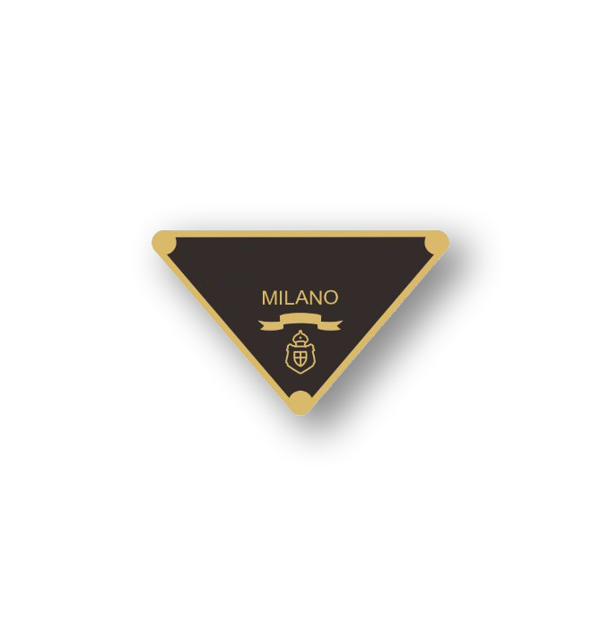 Tirangle Magnetic Pins