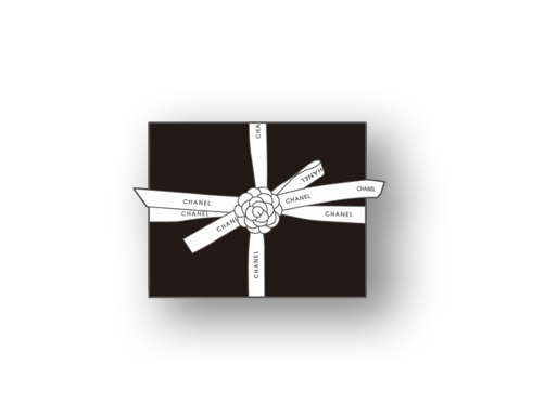 CC Gift Box Magnetic Pins