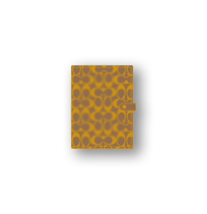 Planner Magnetic Pins