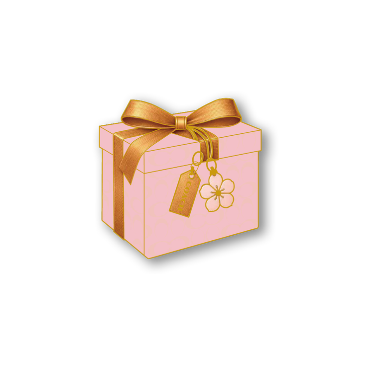 C Gift Box Magnetic Pin