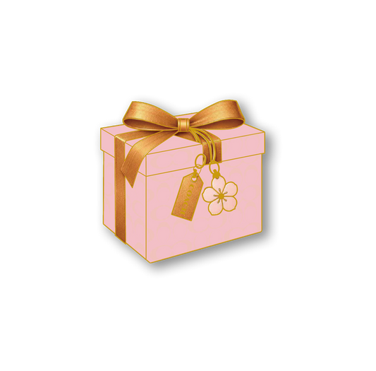 C Gift Box Magnetic Pin