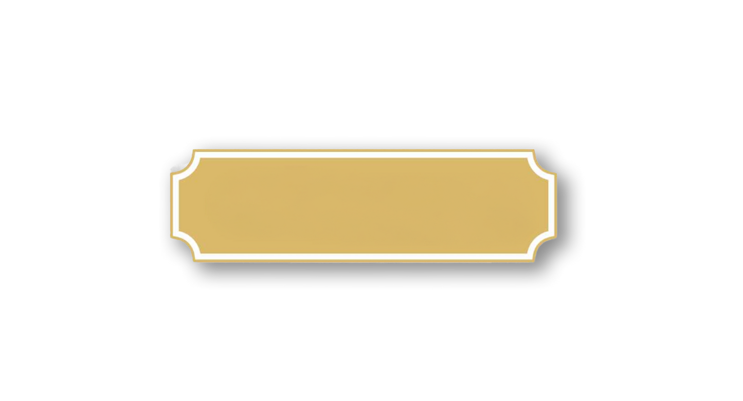 C plaque Magnetic Pins