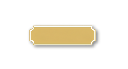 C plaque Magnetic Pins