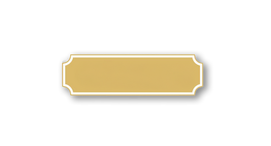 C plaque Magnetic Pins